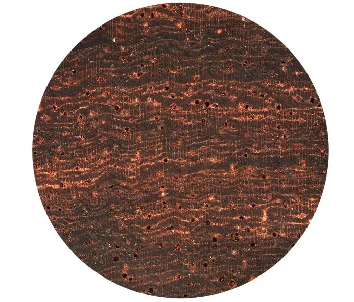 4. 老紅木・紅木古山 143mm【印度檀香 紫檀 金星 野生 老料 高密】★希少 Authentic natural wild old Lobular Red Sandalwood of India 4. 老紅木・紅木古山 143mm印度檀香 紫檀 金星 野生 老料 高密☆